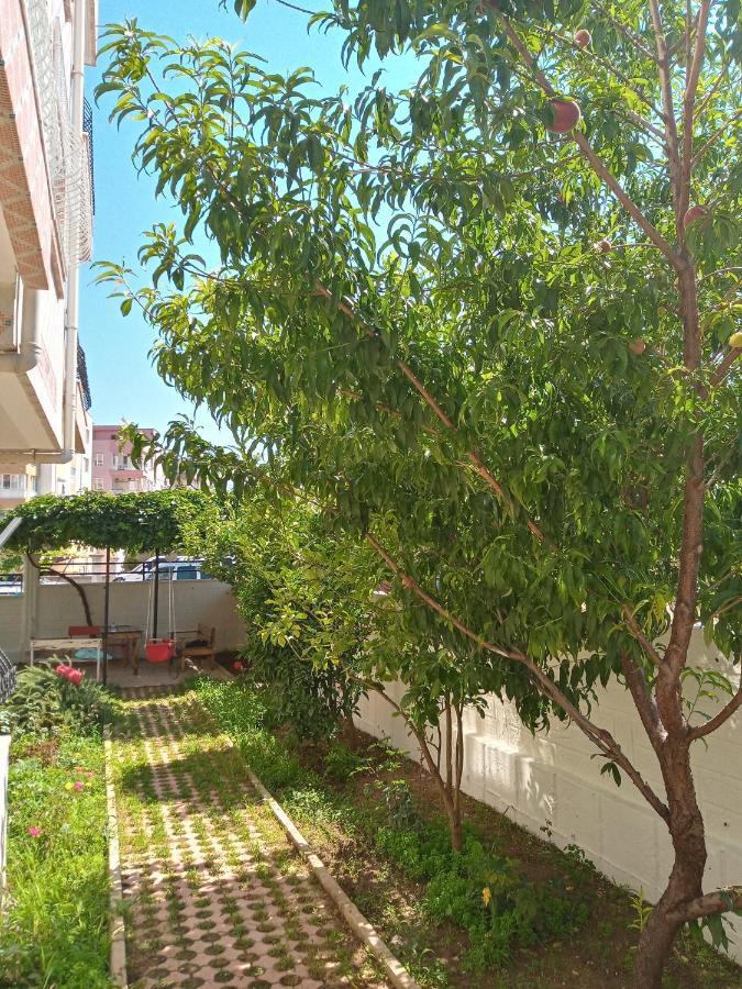 Bulut Apartment アンタルヤ エクステリア 写真